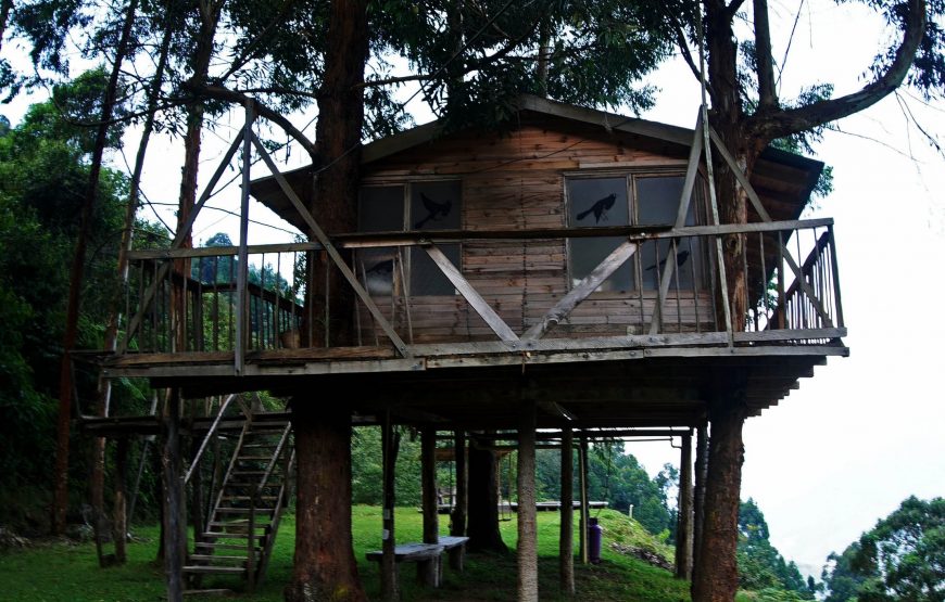 Cabaña Superior Jacuzzi