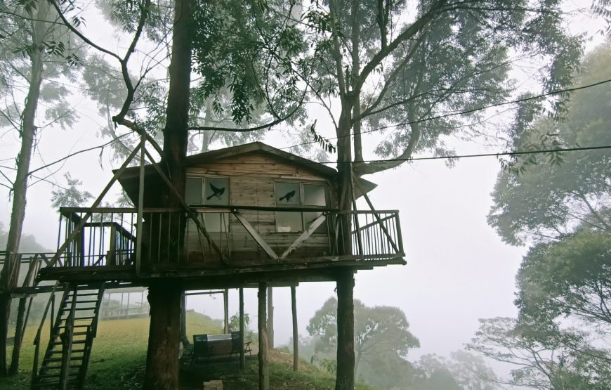 Cabaña Superior Jacuzzi